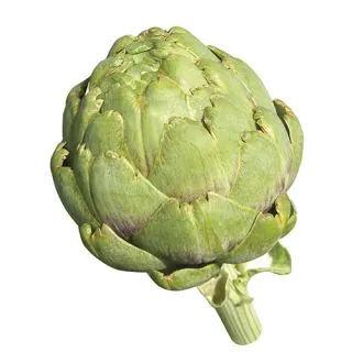 Compra ALCACHOFA IMPERIAL STAR (1.000 Semillas) en la tienda online Fito Agrícola