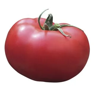 Compra TOMATE KATON F1 (1.000 Semillas) en la tienda online Fito Agrícola