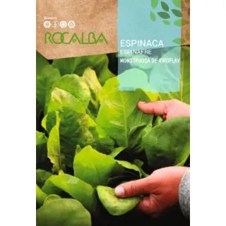 Compra ESPINACA VIROFLAY (1 Kgr.). en la tienda online Fito Agrícola