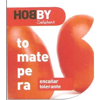 Compra TOMATE PERA ENCAÑAR TOLERANTE M11 en la tienda online Fito Agrícola