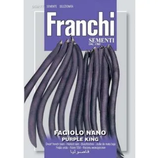 Compra JUDÍA NANO PURPLE KING (100 gr.). en la tienda online Fito Agrícola