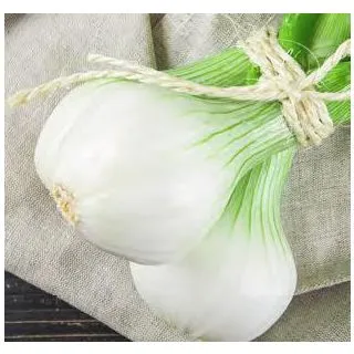 Compra CEBOLLA BABOSA PACK 50 ECO en la tienda online Fito Agrícola