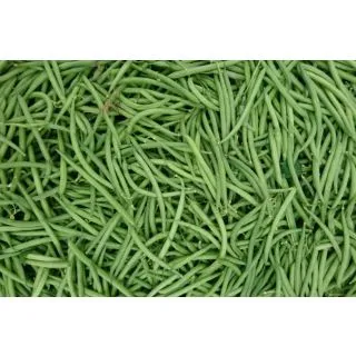 Compra JUDÍA GAUDI (5 Kgr.). en la tienda online Fito Agrícola