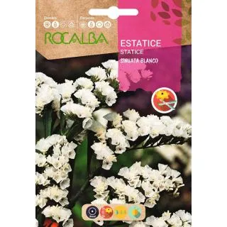 Compra ESTATICE SINUATA BLANCO (0,5 gr.). en la tienda online Fito Agrícola