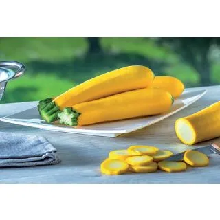 Compra CALABACÍN LINGODOR F1 (1.000 Semillas) en la tienda online Fito Agrícola