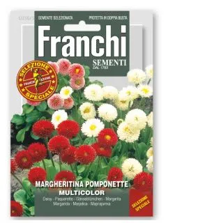 Compra MARGARITA POMPONETE MULTICOLOR (10 gr.). en la tienda online Fito Agrícola