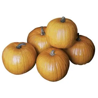 Compra CALABAZA ASPEN F1 (250 Semillas). en la tienda online Fito Agrícola