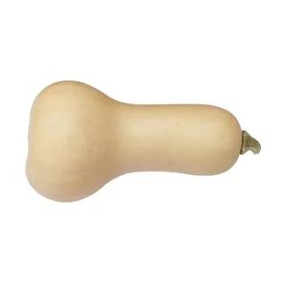 Compra CALABAZA EARLY BUTTERNUT F1 BIO (1000 Semillas). en la tienda online Fito Agrícola