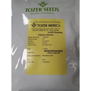 Compra CILANTRO SANTOS (10.000 Semillas) en la tienda online Fito Agrícola