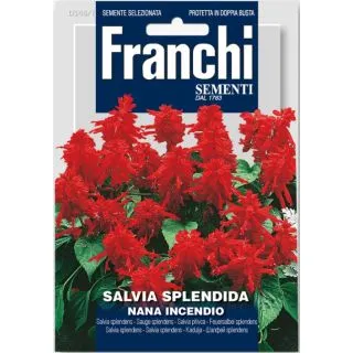 Compra SALVIA SPLENDENS ENANA INCENDIO (10 gr.). en la tienda online Fito Agrícola