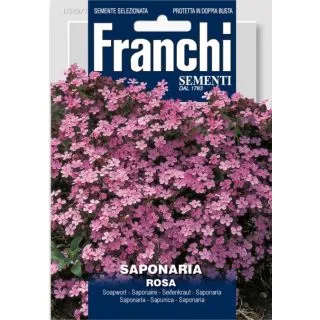 Compra SAPONARIA ROSA (50 gr.). en la tienda online Fito Agrícola