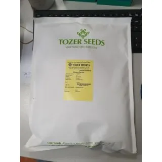 Compra CILANTRO SANTOS (100.000 Semillas). en la tienda online Fito Agrícola