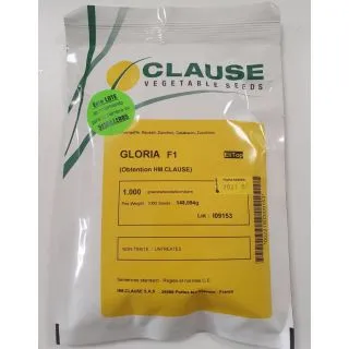Compra CALABACÍN GLORIA F-1 (1.000 Semillas) en la tienda online Fito Agrícola