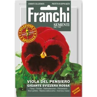 Compra PENSAMIENTO GIGANTE SUIZO ROSSO CENTRO NEGRO (1 gr.). en la tienda online Fito Agrícola