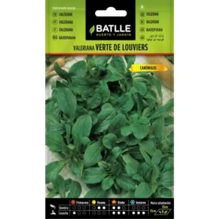 Compra CANÓNIGO VERDE DE LOUVIERS (6 gr.). en la tienda online Fito Agrícola