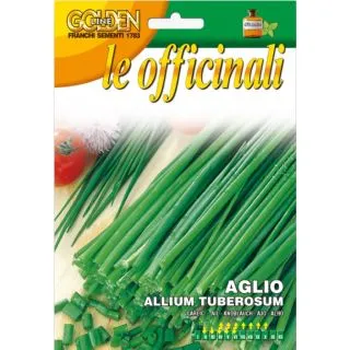 Compra CEBOLLINO CHINO (2 gr.). en la tienda online Fito Agrícola