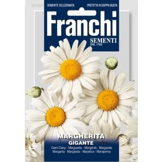 Compra MARGARITA GRANDE BLANCA (50 gr.). en la tienda online Fito Agrícola