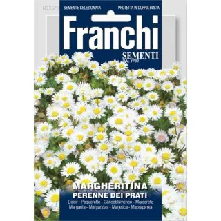 Compra MARGARITA DE LOS PRADOS (0,4 gr.). en la tienda online Fito Agrícola