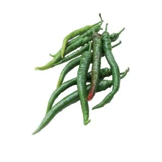 Compra PIMIENTO SUMHER F1 Sin Tratar (1000 Semillas) en la tienda online Fito Agrícola