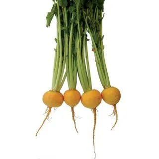 Compra NABO GOLDANA (250 gr.) en la tienda online Fito Agrícola