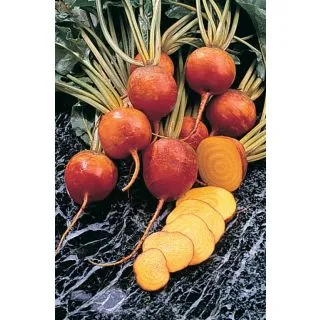 Compra REMOLACHA BURPEES GOLDEN (250 gr.). en la tienda online Fito Agrícola