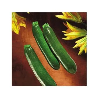 Compra CALABACÍN MIKONOS F1 (1.000 Semillas) en la tienda online Fito Agrícola