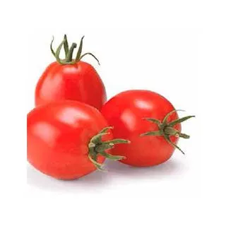 Compra TOMATE SAHEL F-1 (1.000 Semillas). en la tienda online Fito Agrícola