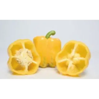 Compra PIMIENTO QUARK F1 (1.000 Semillas) en la tienda online Fito Agrícola