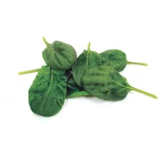 Compra ESPINACA ALCOR F1 BABY LEAF (1.000.000 Semillas). en la tienda online Fito Agrícola