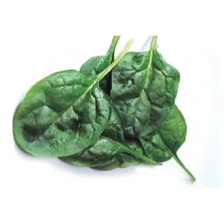 Compra ESPINACA HYDRUS F1 BABY LEAF (1.000.000 Semillas) en la tienda online Fito Agrícola