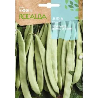 Compra JUDÍA BUENOS AIRES (50 gr.). en la tienda online Fito Agrícola