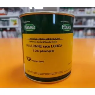 Compra ESCAROLA WALLONNE-LORCA Píldora Sphera (5.000 Semillas) en la tienda online Fito Agrícola