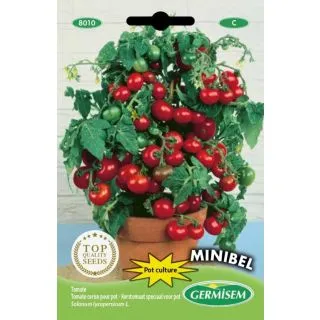 Compra TOMATE MINIBEL (0,3 gr.). en la tienda online Fito Agrícola