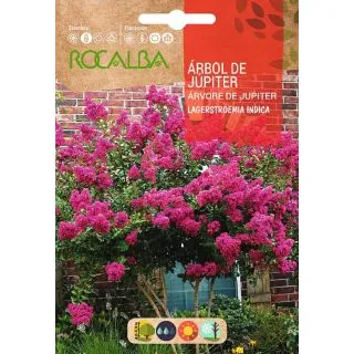 Compra ÁRBOL DE JÚPITER (0,5 gr.) en la tienda online Fito Agrícola
