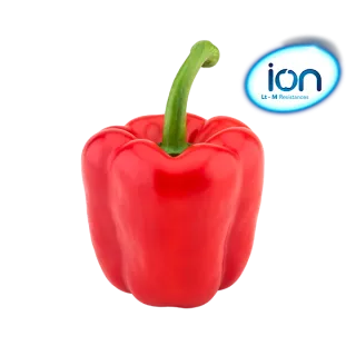 Compra PIMIENTO HILARIÓN F1 (1000 Semillas) en la tienda online Fito Agrícola