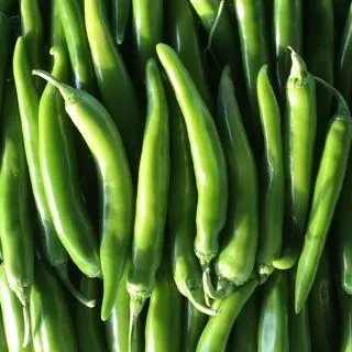 Compra PIMIENTO LAPID F-1 (1000 Semillas) en la tienda online Fito Agrícola