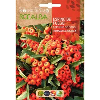 Compra ESPINO DE FUEGO (1 gr. - Cerca de 300 Semillas, Viables 150) en la tienda online Fito Agrícola