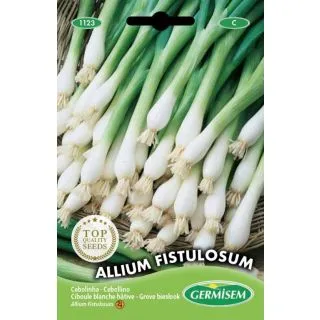 Compra CEBOLLINO GRUESO (250 gr.). en la tienda online Fito Agrícola