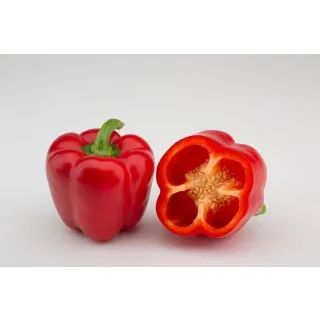 Compra PIMIENTO CHEVY F1 (1000 Semillas). en la tienda online Fito Agrícola