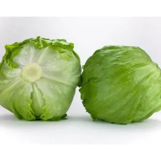 Compra LECHUGA VERNALIA Píldora Sphera (25.000 Semillas) en la tienda online Fito Agrícola