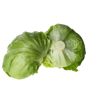 Compra LECHUGA AZOHIA Píldora Sphera (25.000 Semillas) en la tienda online Fito Agrícola