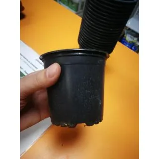 Compra MACETA USADA DE 11x11x9,5 CM.(2 Unid.) en la tienda online Fito Agrícola