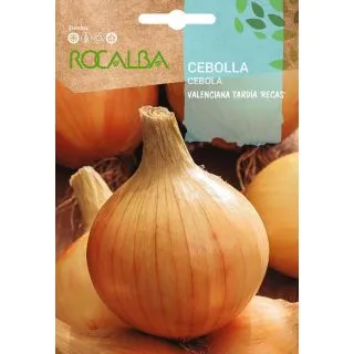 Compra CEBOLLA VALENCIANA TARDÍA RECAS (100 gr.) en la tienda online Fito Agrícola