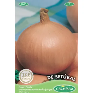 Compra CEBOLLA SETUBAL (3 gr.). en la tienda online Fito Agrícola