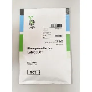 Compra PUERRO LANCELOT (Blauwgroene Herfst) - STQ (10.000 Semillas) en la tienda online Fito Agrícola