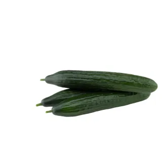 Compra PEPINO BUQUE F1 (1.000 Semillas) en la tienda online Fito Agrícola