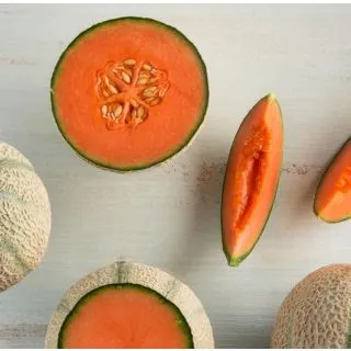 Compra MELÓN MAGESTIUM F1 (1.000 Semillas) en la tienda online Fito Agrícola