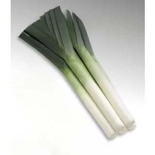 Compra PUERRO CHIEFTON F1 Pildorado (25.000 Semillas) en la tienda online Fito Agrícola