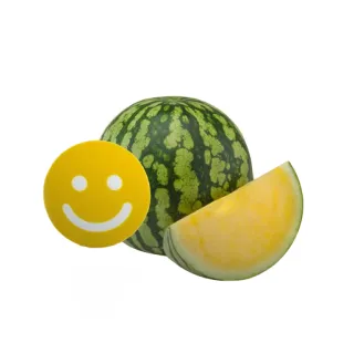 Compra SANDÍA PEKIN F1 Pregerminada (1.000 Semillas) en la tienda online Fito Agrícola