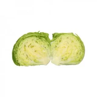 Compra LECHUGA LAURINAS RZ Pildorada (5.000 Semillas). en la tienda online Fito Agrícola